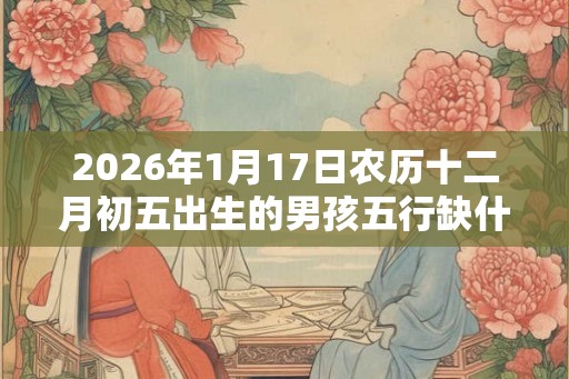 2026年1月17日农历十二月初五出生的男孩五行缺什么