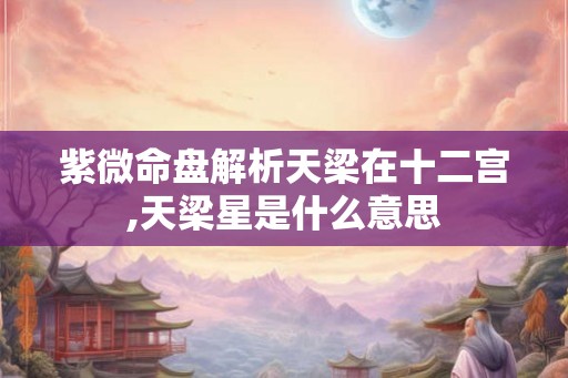 紫微命盘解析天梁在十二宫,天梁星是什么意思
