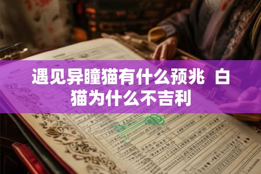 遇见异瞳猫有什么预兆  白猫为什么不吉利