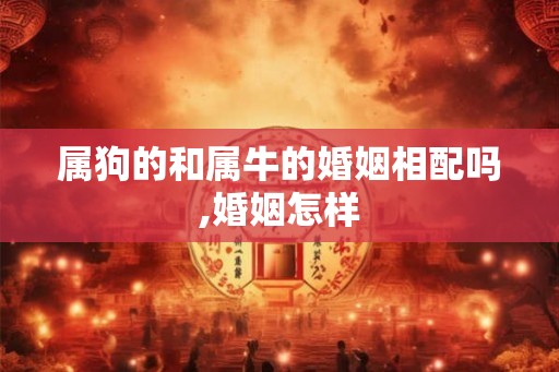 属狗的和属牛的婚姻相配吗,婚姻怎样