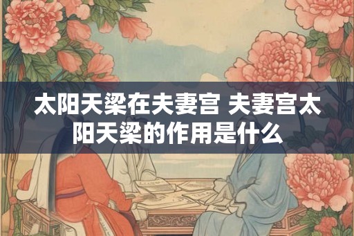 太阳天梁在夫妻宫 夫妻宫太阳天梁的作用是什么