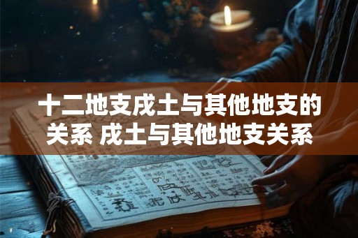 十二地支戌土与其他地支的关系 戌土与其他地支关系 十二地支戌土与其他地支的关系 戌土与其他地支关系
