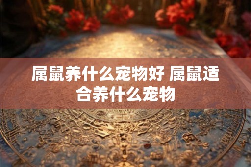 属鼠养什么宠物好 属鼠适合养什么宠物