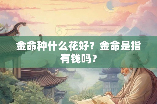 金命种什么花好？金命是指有钱吗？