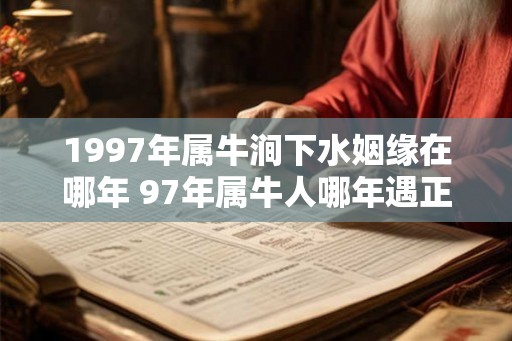 1997年属牛涧下水姻缘在哪年 97年属牛人哪年遇正缘
