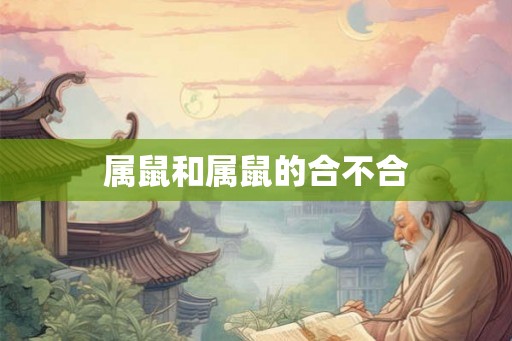 属鼠和属鼠的合不合