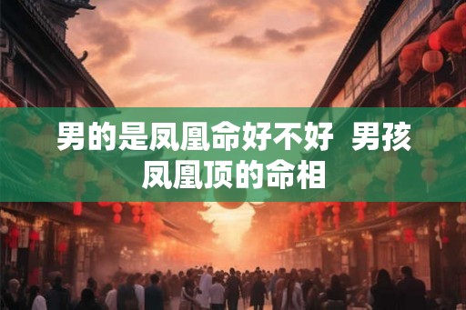 男的是凤凰命好不好  男孩凤凰顶的命相