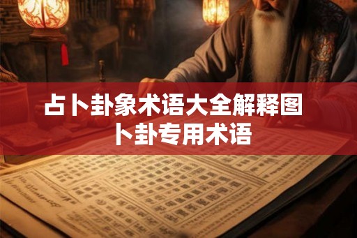 占卜卦象术语大全解释图  卜卦专用术语