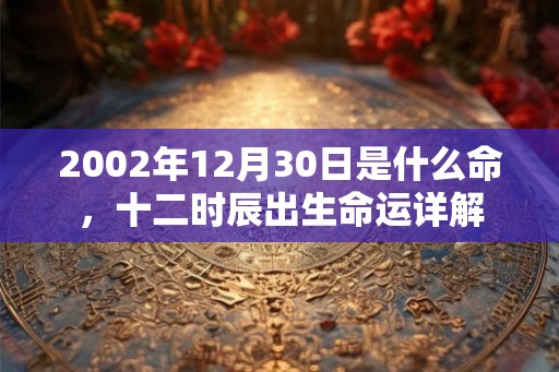 2002年12月30日是什么命，十二时辰出生命运详解