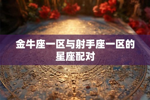 金牛座一区与射手座一区的星座配对