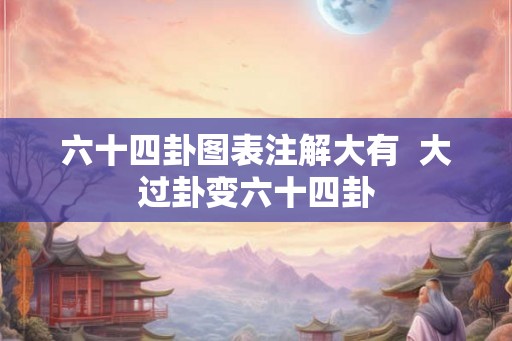 六十四卦图表注解大有  大过卦变六十四卦