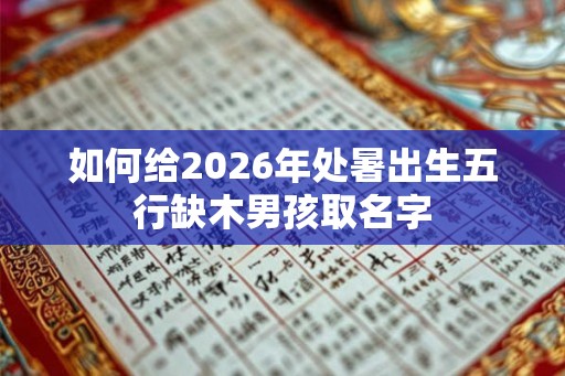 如何给2026年处暑出生五行缺木男孩取名字