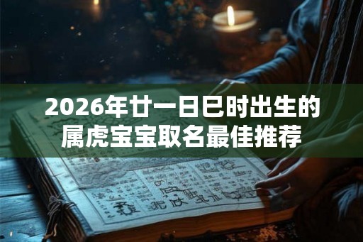 2026年廿一日巳时出生的属虎宝宝取名最佳推荐