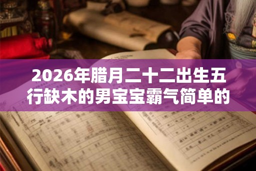 2026年腊月二十二出生五行缺木的男宝宝霸气简单的名字