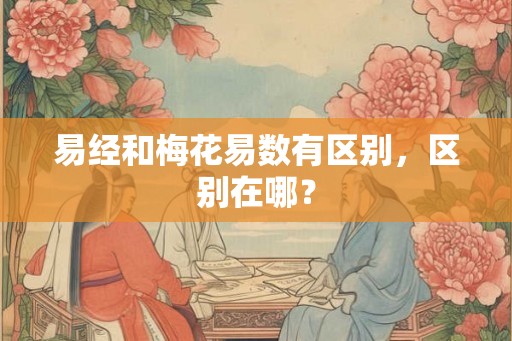 易经和梅花易数有区别，区别在哪？