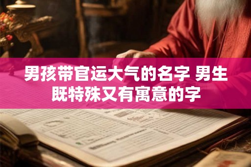 男孩带官运大气的名字 男生既特殊又有寓意的字
