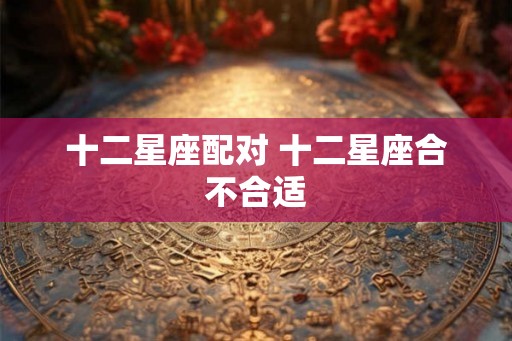 十二星座配对 十二星座合不合适