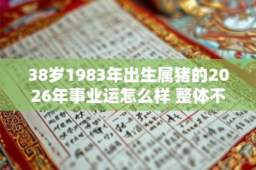 38岁1983年出生属猪的2026年事业运怎么样 整体不错