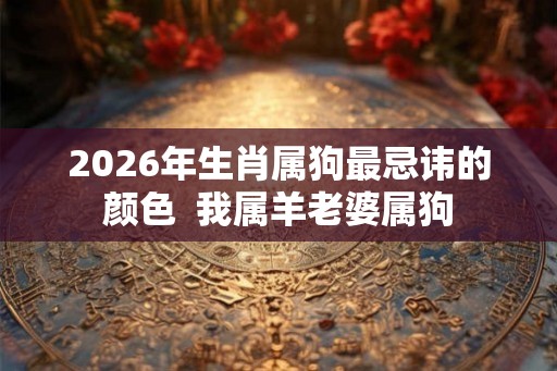 2026年生肖属狗最忌讳的颜色  我属羊老婆属狗