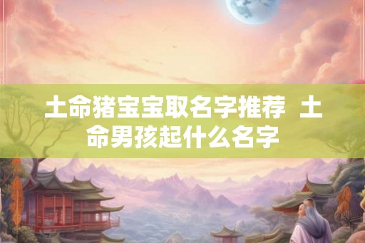土命猪宝宝取名字推荐  土命男孩起什么名字