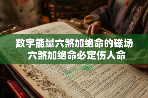 数字能量六煞加绝命的磁场  六煞加绝命必定伤人命