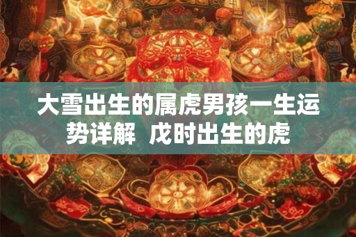 大雪出生的属虎男孩一生运势详解  戊时出生的虎