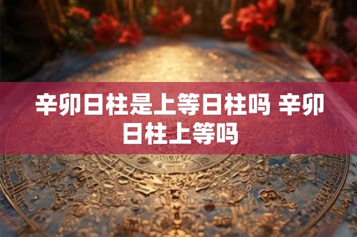 辛卯日柱是上等日柱吗 辛卯日柱上等吗 辛卯日柱是上等日柱吗 辛卯日柱上等吗