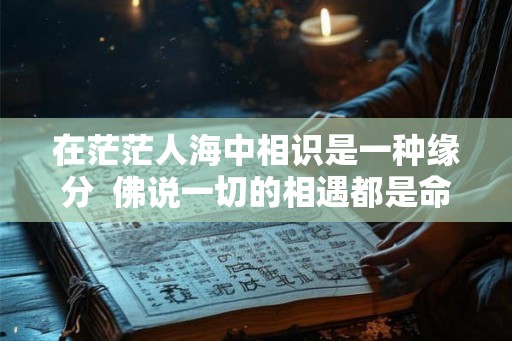 在茫茫人海中相识是一种缘分 佛说一切的相遇都是命中注定 在茫茫人海中相识是一种缘分 佛说一切的相遇都是命中注定