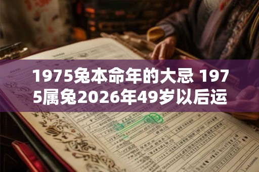 1975兔本命年的大忌 1975属兔2026年49岁以后运气