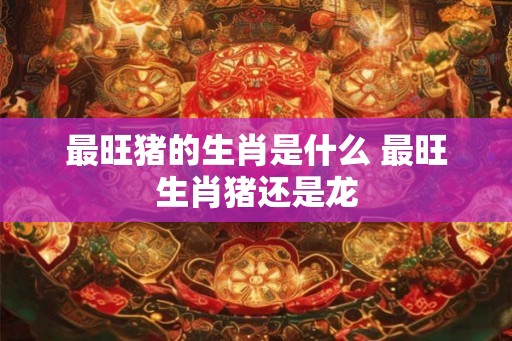 最旺猪的生肖是什么 最旺生肖猪还是龙