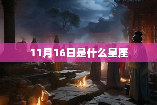 11月16日是什么星座
