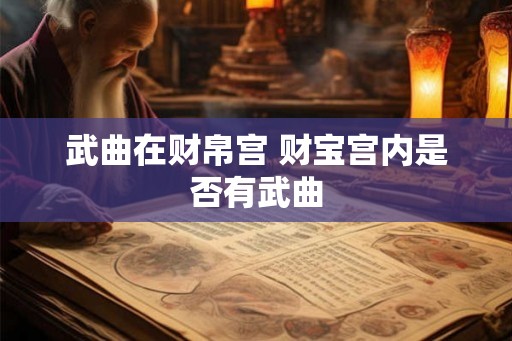武曲在财帛宫 财宝宫内是否有武曲