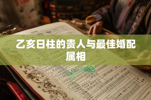 乙亥日柱的贵人与最佳婚配属相