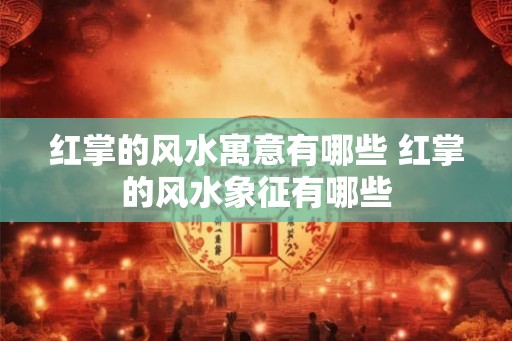 红掌的风水寓意有哪些 红掌的风水象征有哪些