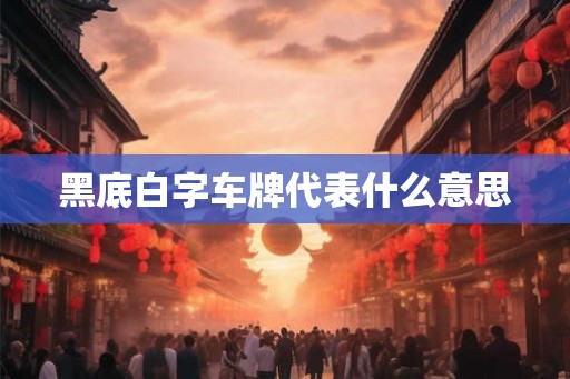 黑底白字车牌代表什么意思