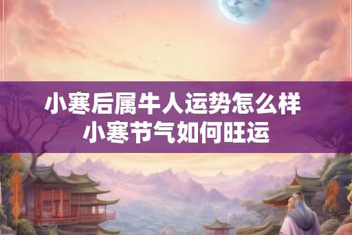 小寒后属牛人运势怎么样 小寒节气如何旺运