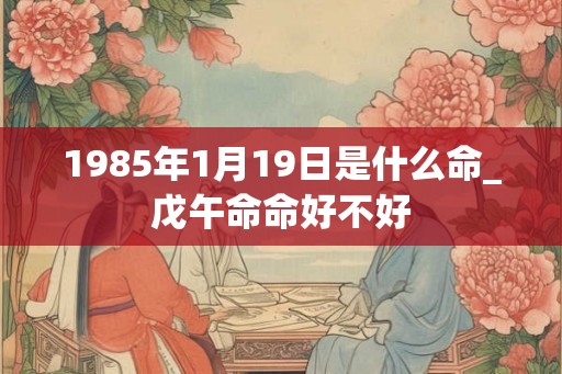 1985年1月19日是什么命_戊午命命好不好 1985年1月19日是什么命_戊午命命好不好