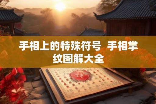 手相上的特殊符号  手相掌纹图解大全