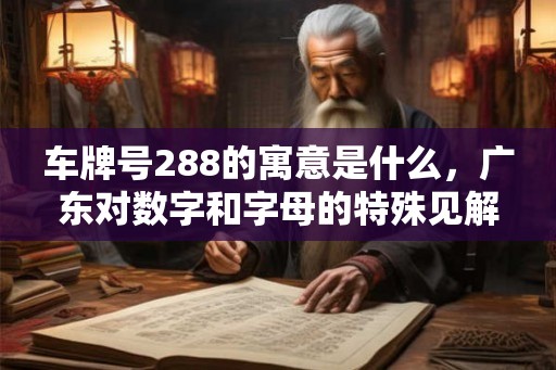 车牌号288的寓意是什么，广东对数字和字母的特殊见解
