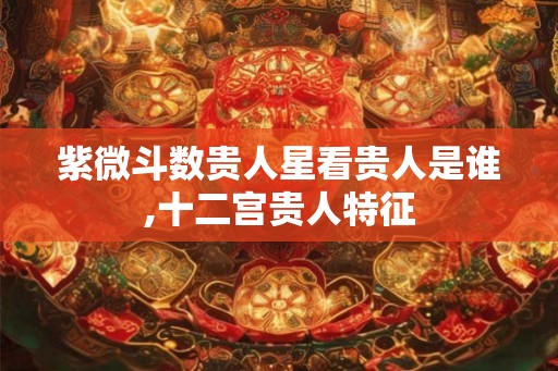 紫微斗数贵人星看贵人是谁,十二宫贵人特征