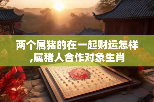 两个属猪的在一起财运怎样,属猪人合作对象生肖