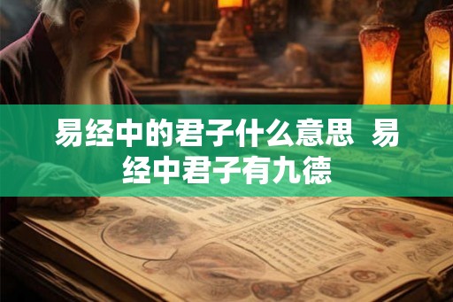 易经中的君子什么意思  易经中君子有九德