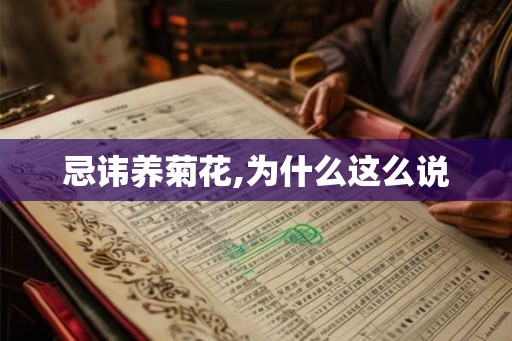 忌讳养菊花,为什么这么说