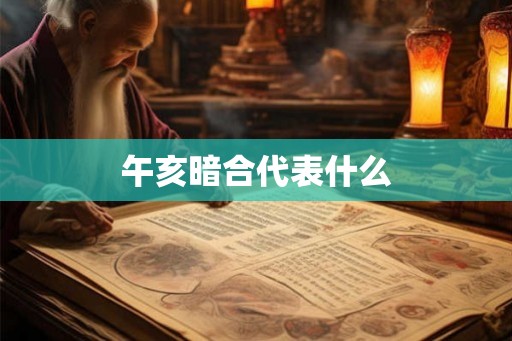午亥暗合代表什么 午亥暗合代表什么