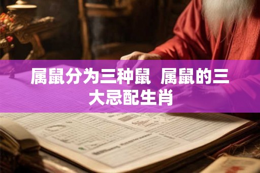 属鼠分为三种鼠  属鼠的三大忌配生肖