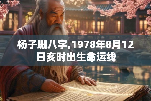 杨子珊八字,1978年8月12日亥时出生命运线