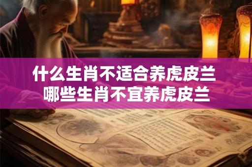 什么生肖不适合养虎皮兰 哪些生肖不宜养虎皮兰 什么生肖不适合养虎皮兰 哪些生肖不宜养虎皮兰
