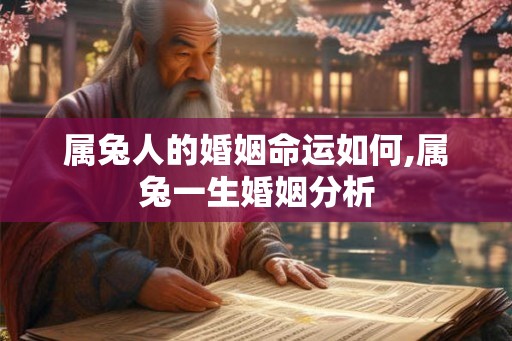 属兔人的婚姻命运如何,属兔一生婚姻分析