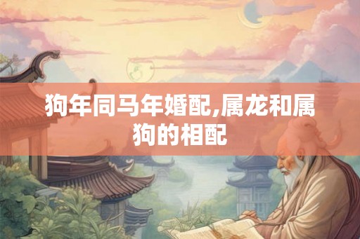 狗年同马年婚配,属龙和属狗的相配