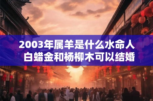2003年属羊是什么水命人  白蜡金和杨柳木可以结婚吗